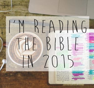 Reading through the Bible in 2015 // stephanieorefice.net