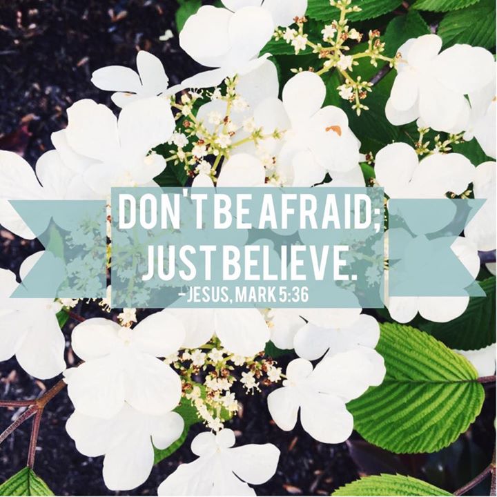 Don't be afraid; just believe - Mark 5:36 // stephanieorefice.net