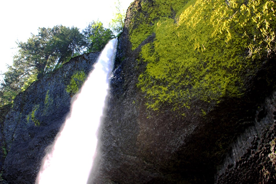 Latourell Falls, Columbia River Gorge // Oregon // stephanieorefice.net