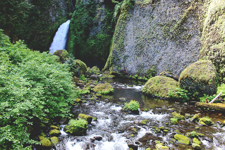 Wahclella Falls // Columbia River Gorge, OR // stephanieorefice.net