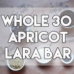 Whole 30 Apricot Lara Bar // stephanieorefice.net