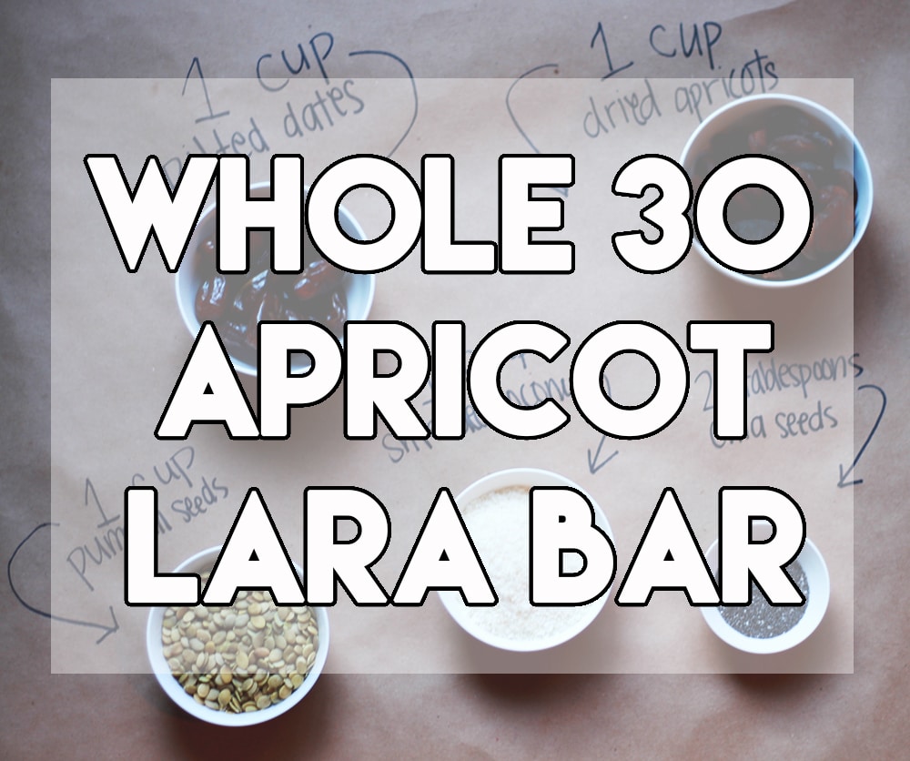 Whole 30 Apricot Lara Bar