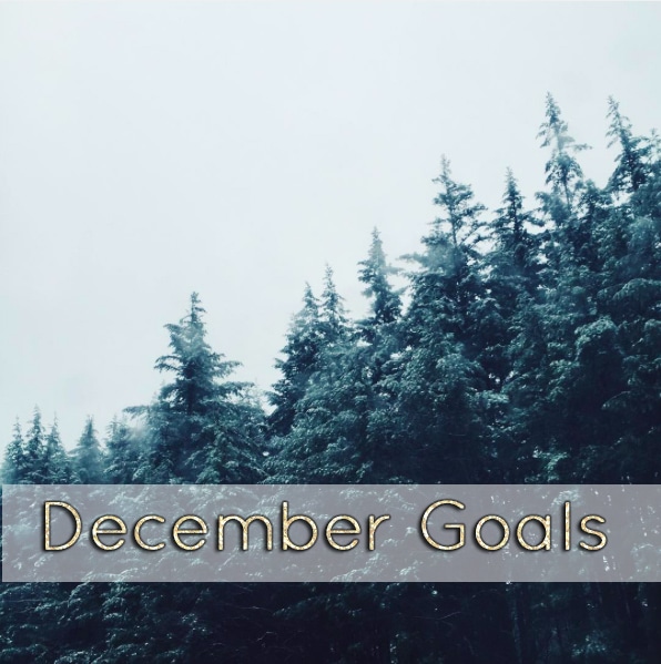 December Goals // stephanieorefice.net