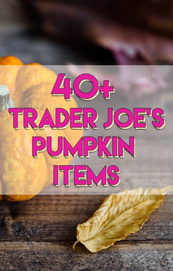 40+ Trader Joe's Pumpkin Items // stephanieorefice.net