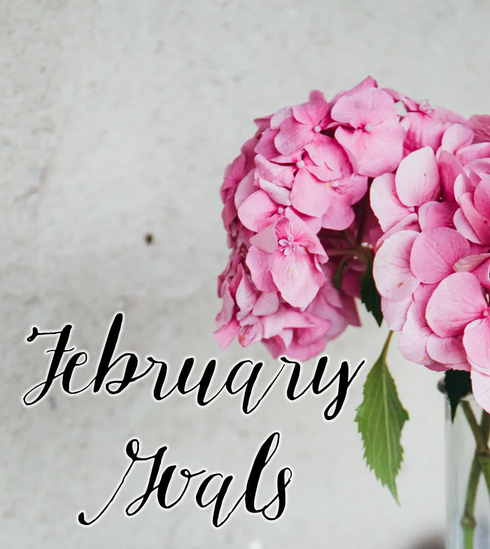 February Goals // stephanieorefice.net