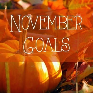 November Goals